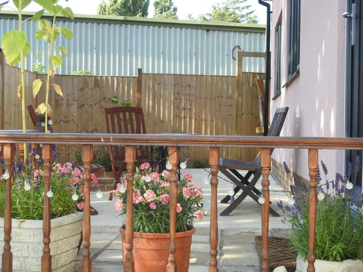 The Shed @ Stares Farm Cottage Shedfield Eksteriør bilde